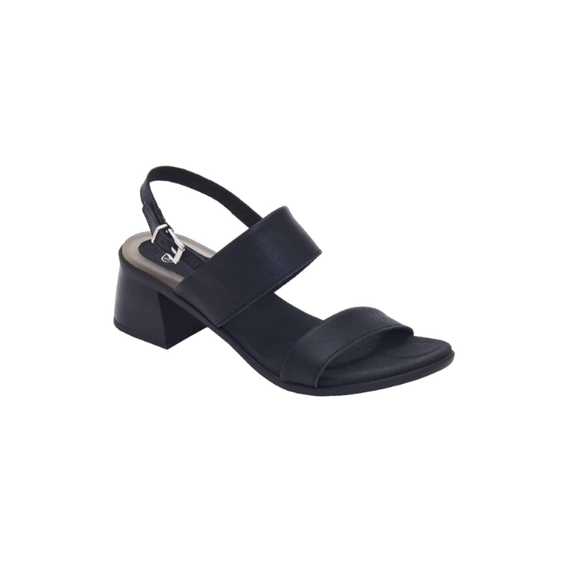 Scholl SANDALES ABBAYE - S30014